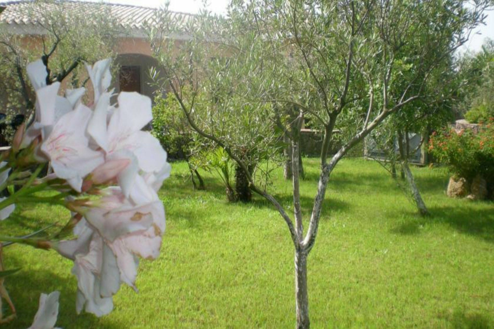 Appartamento Residenza Marina Orosei Esterno foto