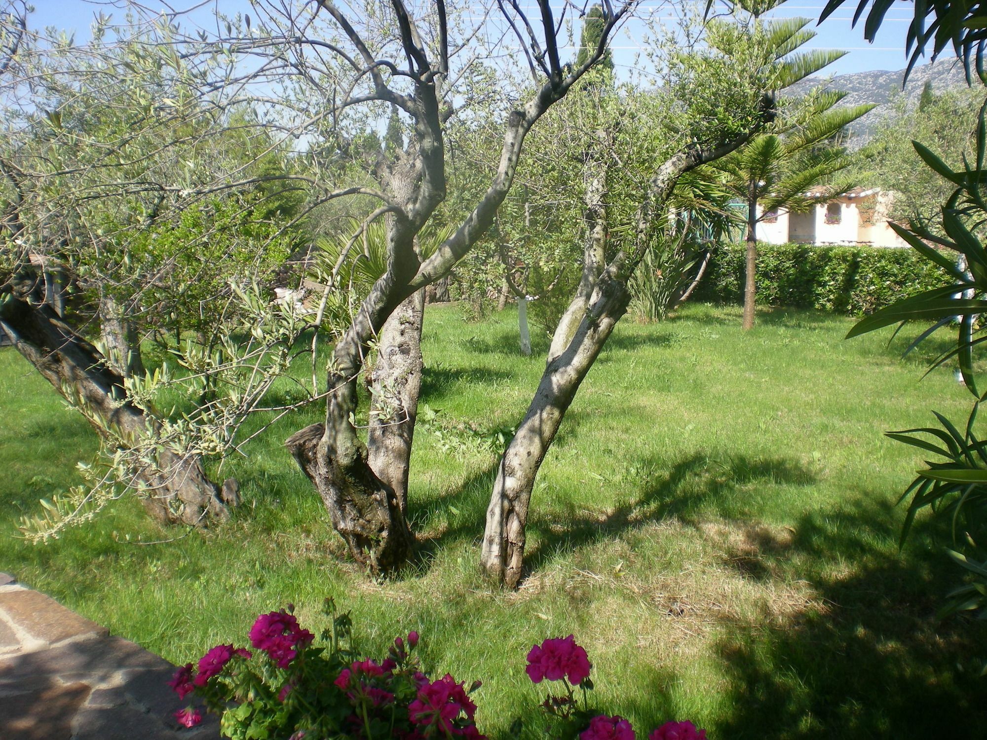 Appartamento Residenza Marina Orosei Esterno foto
